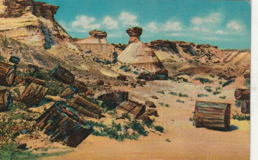 Vintage Used Postcard: C: 1959 Petrified Forest, AZ