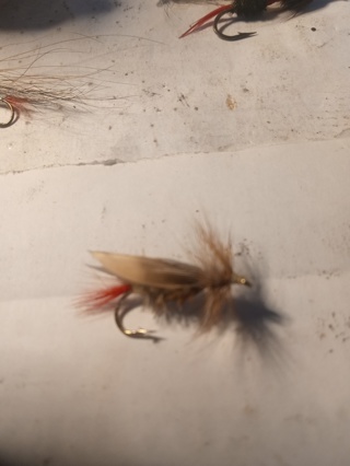 Fishing Fly