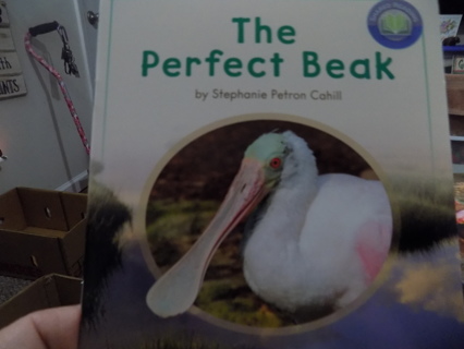 The Perfect Beak by Stephen Peter Cahill