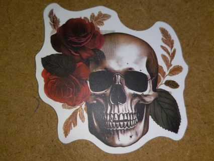 Cool one nice vinyl sticker no refunds regular mail only Very nice quality!
