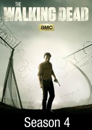 THE WALKING DEAD SEASON 4 HD VUDU CODE ONLY