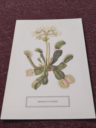 Postcard - VENUS FLYTRAP