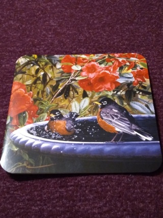 Red Floral-Bird Bath Notecard & Envelope