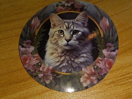 Cat Cute new 1⃣ vinyl lap top sticker no refunds regular mail very nice quality