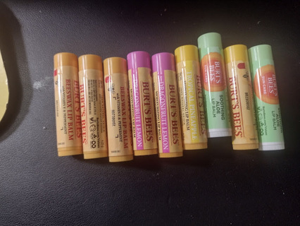 2 Burts Bees Lip Balms #2