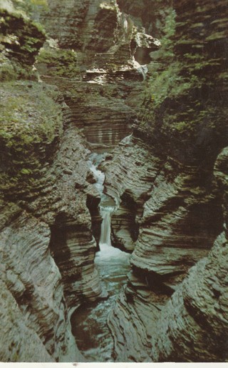 Vintage Unused Postcard: GIN: Watkins Glen, NY