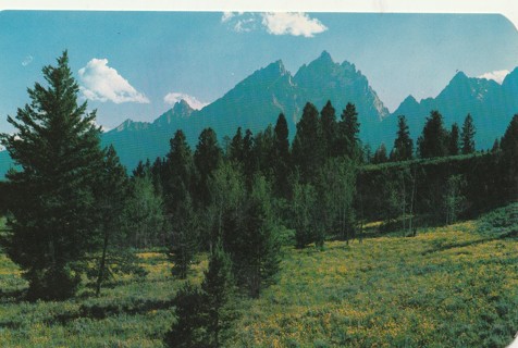 Vintage Unused Postcard: x: Teton Peak