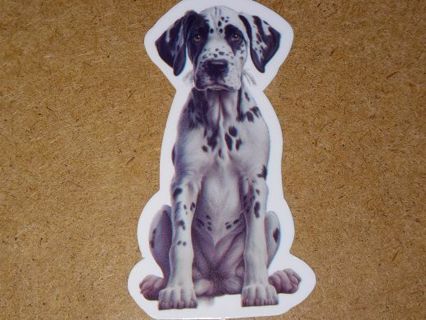 Dog 1⃣ vinyl sticker no refunds regular mail only Very nice these are all nice