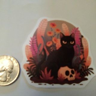 Black Cat Sticker Read description before bidding