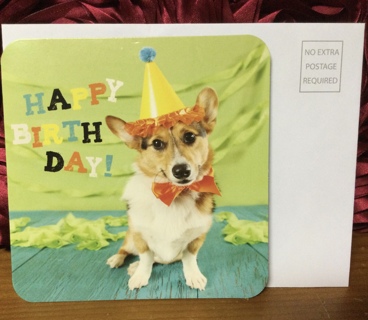 Corgi Dog Birthday Card