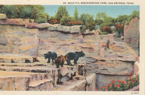 Vintage Unused Postcard: j: Bear Pit, Breckenridge Park, San Antonio, TX