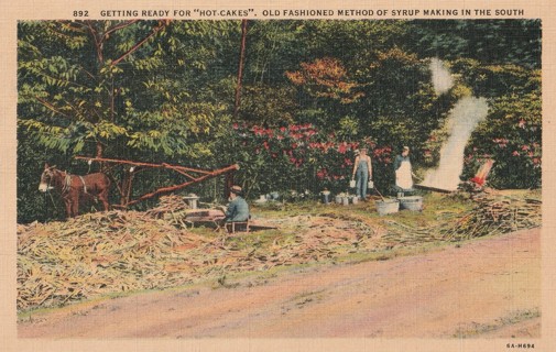 Vintage Unused Postcard: s: Syrup Making in the South.