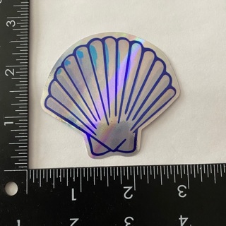 Shiny sea shell large sticker decal NEW 