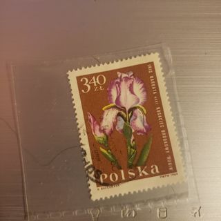 stamp