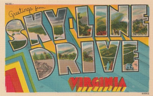 Vintage Unused Postcard: Greetings From Skyline Drive, VA