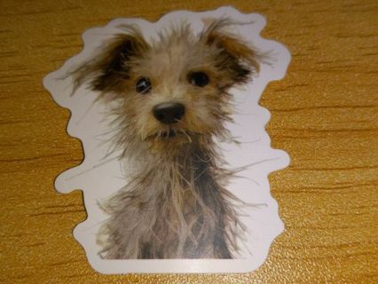 Dog Cute one small vinyl sticker no refunds regular mail Win 2 or more get bonus