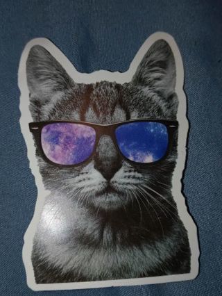 Cat Cute new vinyl lap top sticker no refunds regular mail only very nice quality