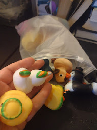 3 Random Rubber Ducks #1