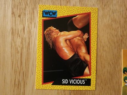 WCW Sid Vicious #25