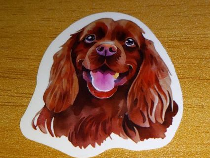 Cool new one vinyl sticker no refunds regular mail only Very nice win 2 or more get bonus