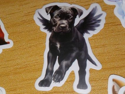 Cute new 1⃣ vinyl sticker no refunds regular mail only Very nice these are all nice