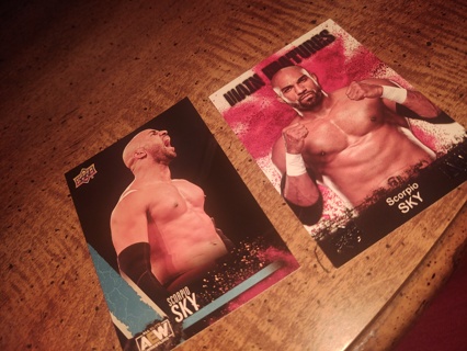 Two card lot aew wrestling Superstar Scorpio sky 