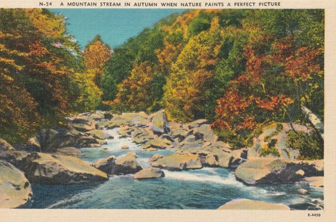 Vintage Unused Postcard: j: Mountain Stream