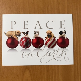 Peace Christmas Card 