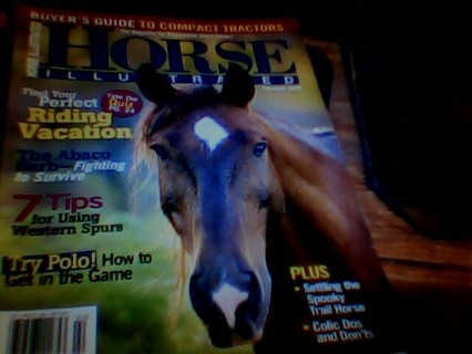 Horse  illustrated Magazines bundle