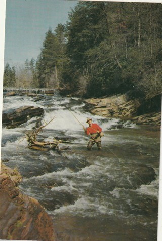 Vintage Unused Postcard: c: Trout Fishing, Smoky Mountains