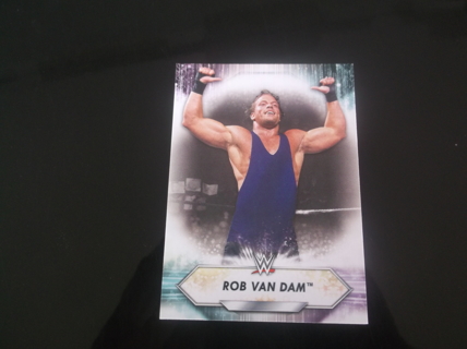 wwe  2021 Topps    Superstar Roster   rob  van  dam  Card #199   