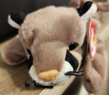 NEW - TY Beanie Baby - "Canyon"