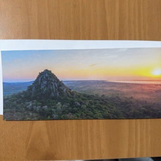 Bunga Inselbergs Note Card 