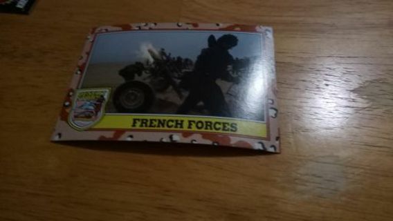 French Forces