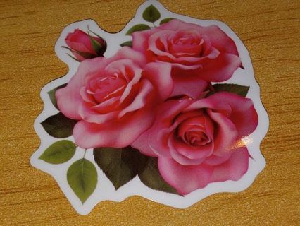 Beautiful nice one Cute new vinyl laptop sticker no refunds regular mail only!