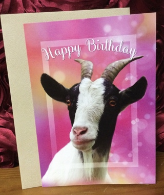 Happy Birthday Goat Blank Card