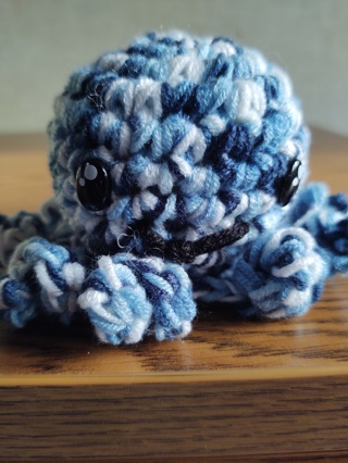 Hand Crocheted Amigurumi Octopus 