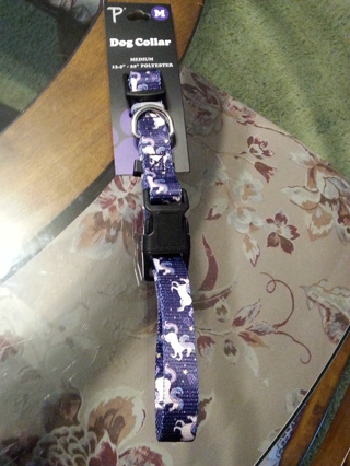 New dog  collar