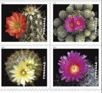 40 Booklet 800 Cactus flower Forever Postage Stamps, per Book of 20 Self-Stick First Class Wedding