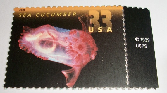 Scott #3440, Sea Cucumber, One Useable 33¢ US Postage Stamp.  Has Original Gum.