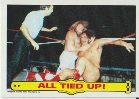 Andre the Giant & Big John Studd, 1985 Topps WWF Pro Wrestling Stars #27