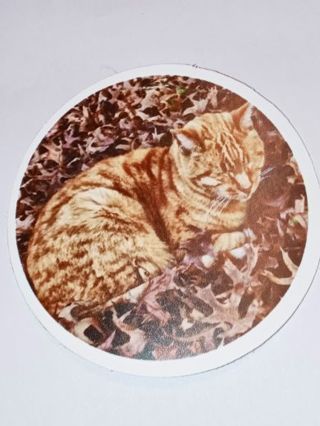 Cat new one nice vinyl lab top sticker no refunds regular mail high quality!