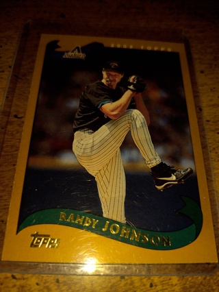 Two card lot baseball veteran Randy Johnson