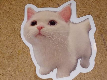 Cat Cute one new vinyl lap top stickers no refunds regular mail only