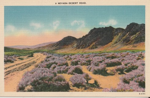 Vintage Unused Postcard: gin k: Nevada Desert Road