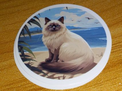 Cat Cute 1⃣ new vinyl sticker no refunds regular mail win 2 or more get bonus