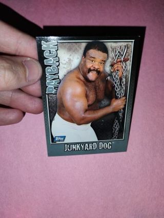 WWE Card