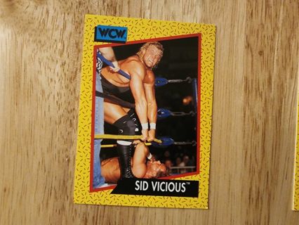 WCW Sid Vicious #27