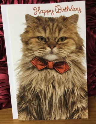 Long Fur Cat Wearing Red Bow Birthday Card