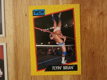 WCW FLYIN BRIAN #63